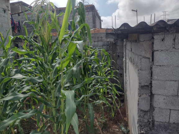 Imagem Terreno à Venda, 120 m² em Jardim Itapuã - Itaquaquecetuba