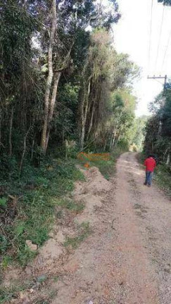 Imagem Terreno à Venda, 1.000 m² em Marmelo - Guarulhos
