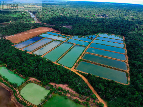 Imagem Chácara à Venda, 862.000 m² em Centro - Manaus Imagem Chácara à Venda, 862.000 m² em Centro - Manaus