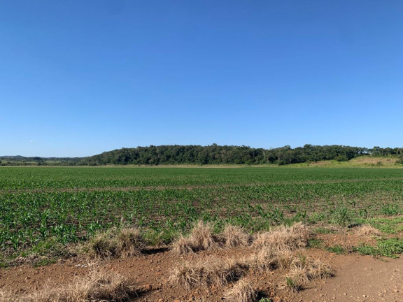 Imagem Fazenda à Venda, 776 m² em Rural - Guia Lopes Da Laguna Imagem Fazenda à Venda, 776 m² em Rural - Guia Lopes Da Laguna
