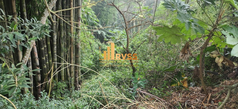 Imagem Terreno à Venda, 1.009 m² em Suíssa - Ribeirão Pires Imagem Terreno à Venda, 1.009 m² em Suíssa - Ribeirão Pires