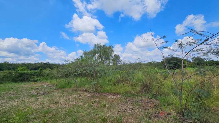 Imagem Fazenda à Venda, em Iguaçu - Araucaria Imagem Fazenda à Venda, em Iguaçu - Araucaria