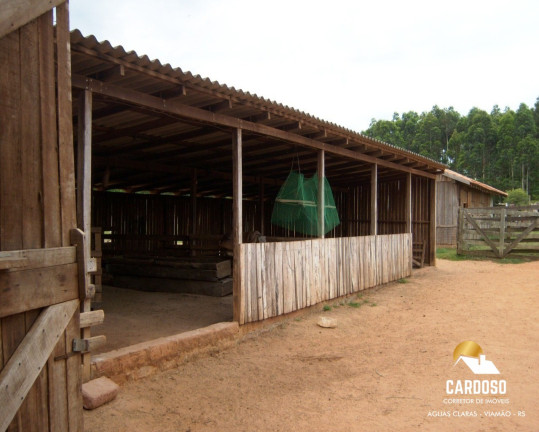 Imagem Imóvel com 3 Quartos à Venda, 350.000 m² em águas Claras - Viamão