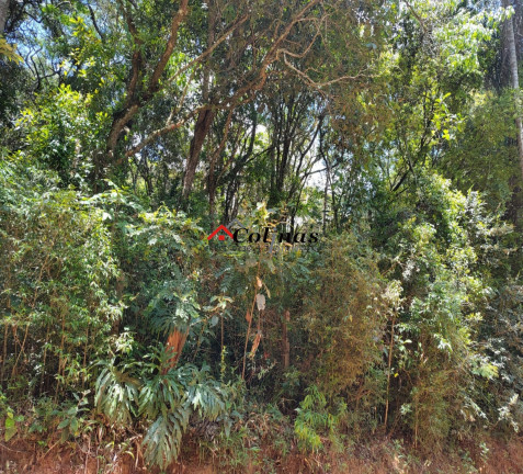 Imagem Terreno à Venda, 2.400 m² em Depois Do Centro - Ibiúna Imagem Terreno à Venda, 2.400 m² em Depois Do Centro - Ibiúna