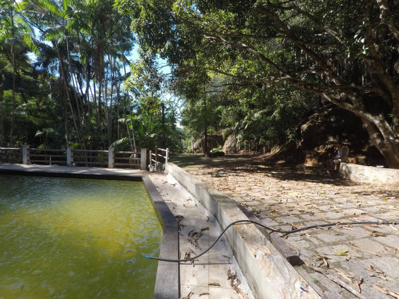 Imagem Chácara com 7 Quartos à Venda, 60 m² em Burarama - Cachoeiro De Itapemirim Imagem Chácara com 7 Quartos à Venda, 60 m² em Burarama - Cachoeiro De Itapemirim