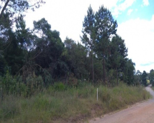 Terreno à Venda, 1.065 m² em Linha Imperial - Nova Petrópolis