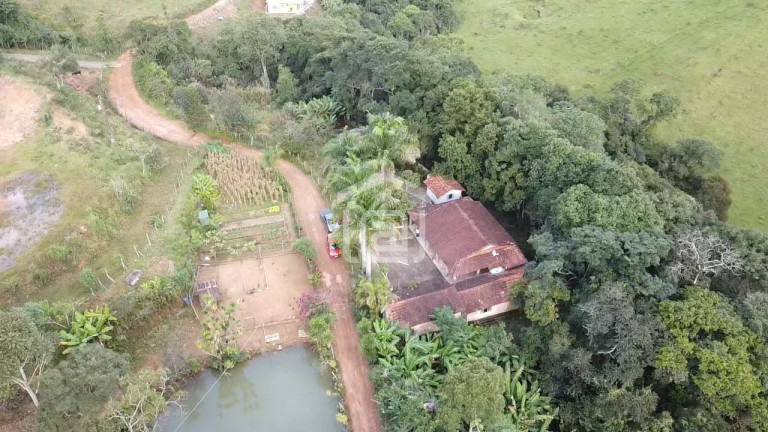 Imagem Imóvel com 3 Quartos à Venda, 15.000 m² em Amendoim - Caldas Imagem Imóvel com 3 Quartos à Venda, 15.000 m² em Amendoim - Caldas