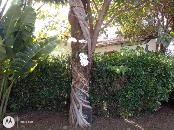 Imagem Fazenda à Venda, 1.281 m² em Vila São Guido - Pirassununga Imagem Fazenda à Venda, 1.281 m² em Vila São Guido - Pirassununga