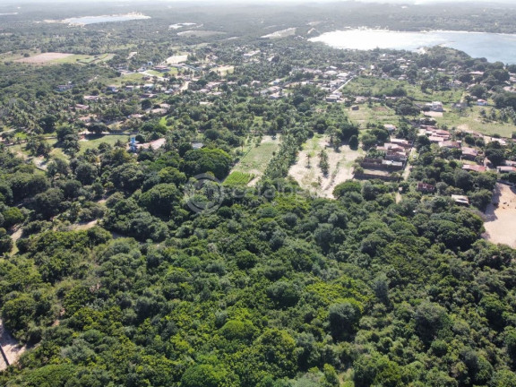 Imagem Terreno à Venda, 40.000 m² em Alcaçuz - Nísia Floresta Imagem Terreno à Venda, 40.000 m² em Alcaçuz - Nísia Floresta
