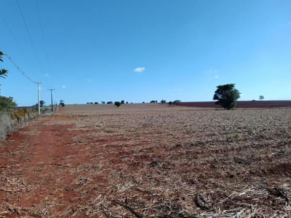 Imagem Chácara à Venda, 29 m² em Rural - Avaré Imagem Chácara à Venda, 29 m² em Rural - Avaré