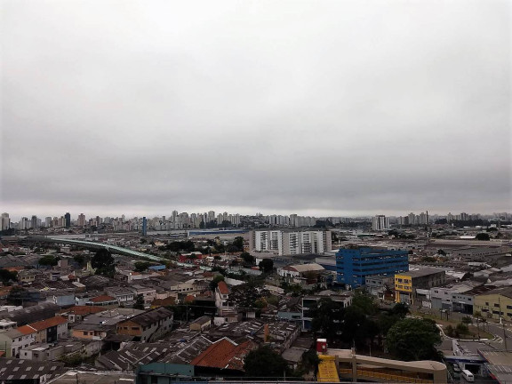 Imagem Apartamento com 3 Quartos à Venda, 110 m² em Ipiranga - São Paulo