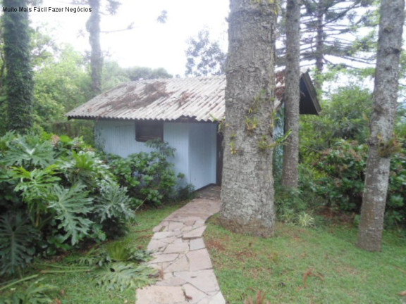 Imagem Terreno à Venda, 3 m² em Vale Verde - Nova Petrópolis Imagem Terreno à Venda, 3 m² em Vale Verde - Nova Petrópolis