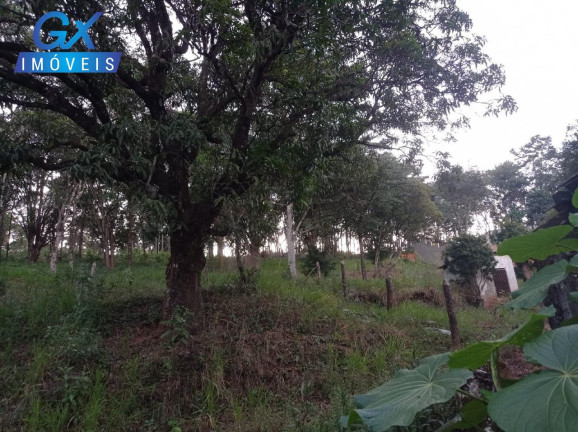 Imagem Terreno à Venda, 9.653 m² em Areias De Baixo - Ribeirão Das Neves Imagem Terreno à Venda, 9.653 m² em Areias De Baixo - Ribeirão Das Neves