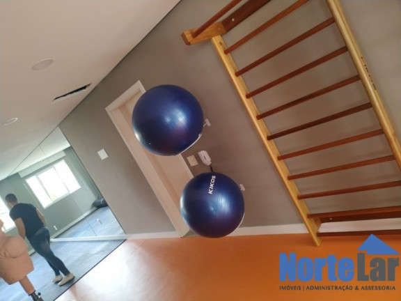 Imagem Apartamento com 2 Quartos à Venda, 42 m² em Santa Teresinha - São Paulo
