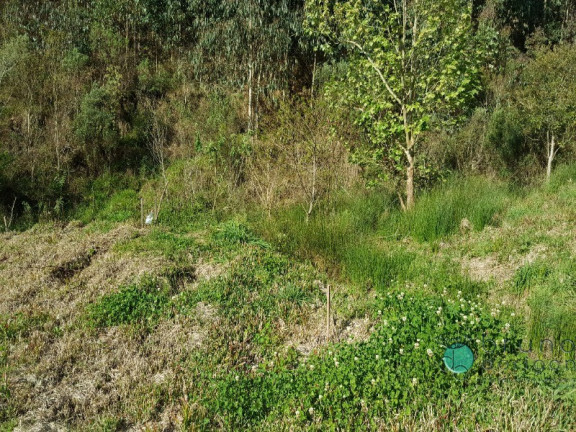 Imagem Imóvel com 2 Quartos à Venda, 50.000 m² em Zona Rural - Alfredo Wagner