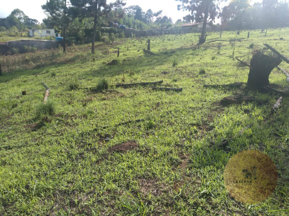 Imagem Terreno à Venda, 2.000 m² em Alpes Paulista (mailasqui) - São Roque Imagem Terreno à Venda, 2.000 m² em Alpes Paulista (mailasqui) - São Roque
