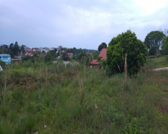 Imagem Terreno à Venda, 503 m² em Pousada Da Neve - Nova Petrópolis Imagem Terreno à Venda, 503 m² em Pousada Da Neve - Nova Petrópolis