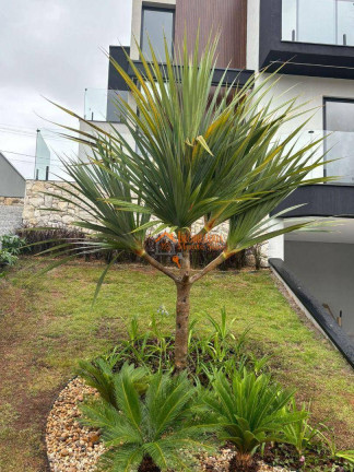 Imagem Casa com 3 Quartos à Venda, 210 m² em Cézar De Souza - Mogi Das Cruzes Imagem Casa com 3 Quartos à Venda, 210 m² em Cézar De Souza - Mogi Das Cruzes