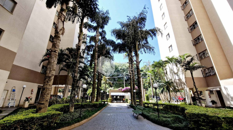 Imagem Apartamento com 3 Quartos à Venda, 65 m² em City América - São Paulo