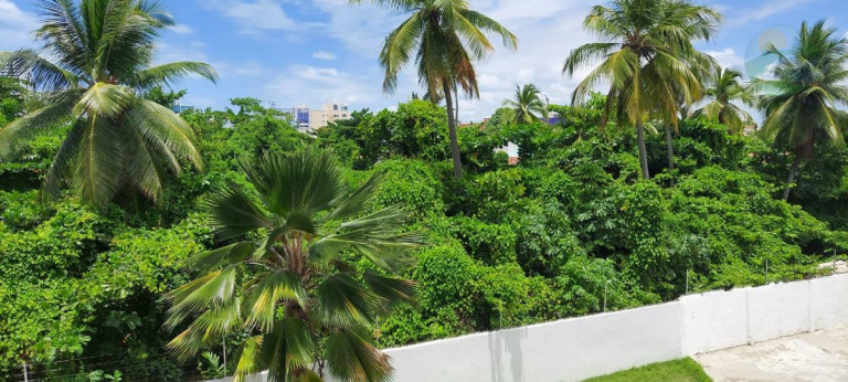Imagem Apartamento com 3 Quartos para Alugar, 87 m² em Piedade - Jaboatão Dos Guararapes