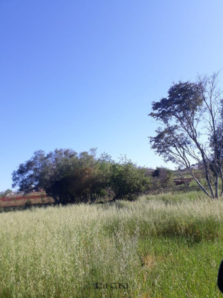 Imagem Terreno à Venda, 30.000 m² em São Bento - Lajeado Imagem Terreno à Venda, 30.000 m² em São Bento - Lajeado
