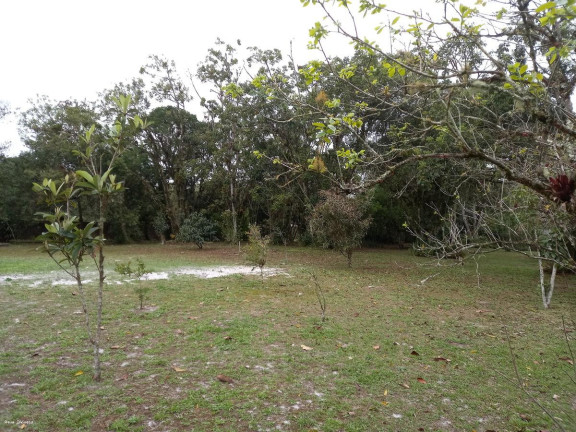 Imagem Imóvel com 3 Quartos à Venda, 5.423 m² em Jardim São Fernando - Itanhaém Imagem Imóvel com 3 Quartos à Venda, 5.423 m² em Jardim São Fernando - Itanhaém