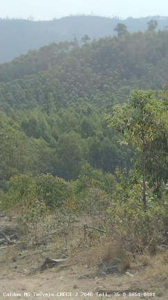 Imagem Chácara com 3 Quartos à Venda, 170 m² em Pocinhos Do Rio Verde - Caldas