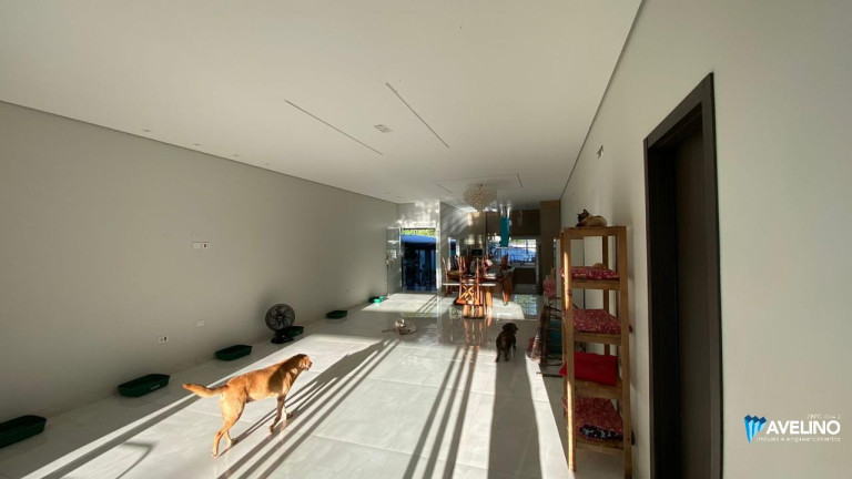 Imagem Casa com 6 Quartos à Venda, 400 m² em Portal De Dourados - Dourados Imagem Casa com 6 Quartos à Venda, 400 m² em Portal De Dourados - Dourados