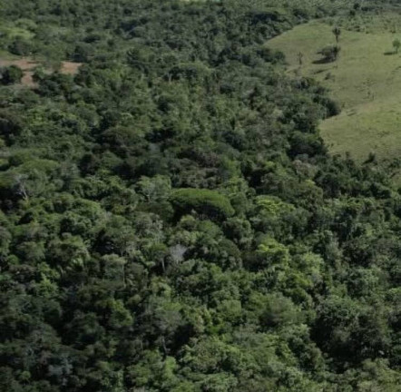 Imagem Chácara à Venda, 2 m² em Serra Grande - Uruçuca - Uruçuca Imagem Chácara à Venda, 2 m² em Serra Grande - Uruçuca - Uruçuca