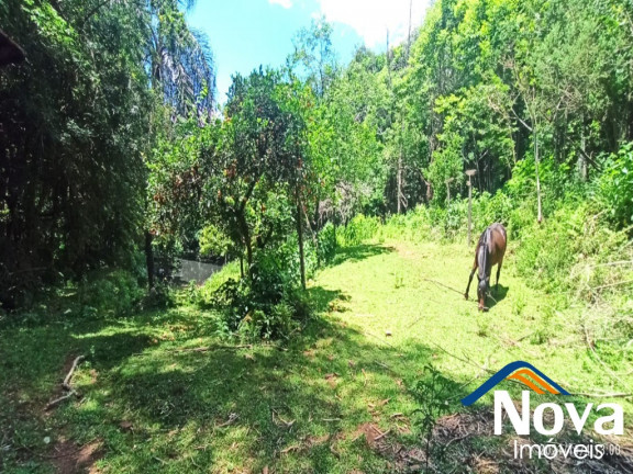 Imagem Imóvel à Venda,  em Linha Pirajá - Nova Petrópolis