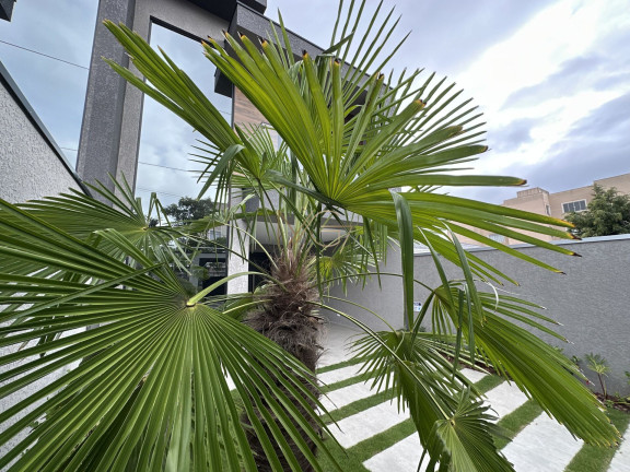 Imagem Sobrado com 3 Quartos à Venda, 147 m² em Afonso Pena - São José Dos Pinhais