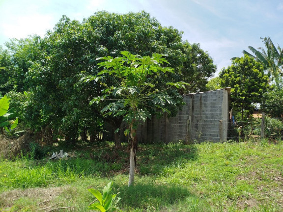 Imagem Imóvel à Venda, em São José Dos Campos Imagem Imóvel à Venda, em São José Dos Campos