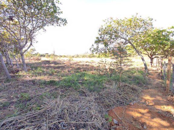 Imagem Chácara à Venda, 5.000 m² em Parque Las Vegas - Bela Vista De Goiás Imagem Chácara à Venda, 5.000 m² em Parque Las Vegas - Bela Vista De Goiás