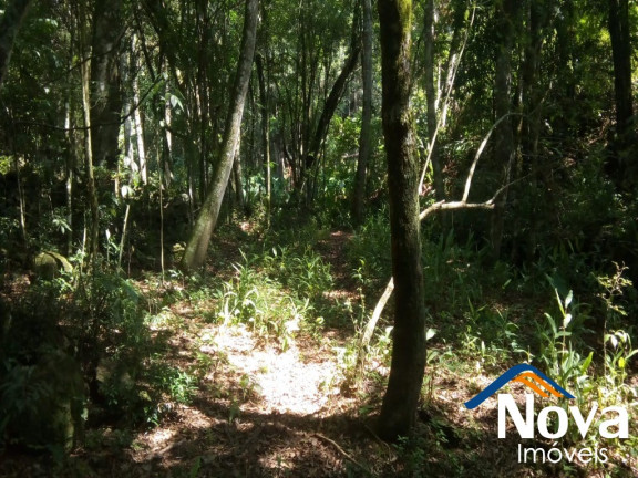 Imagem Imóvel à Venda, em Nove Colônias - Nova Petrópolis Imagem Imóvel à Venda, em Nove Colônias - Nova Petrópolis