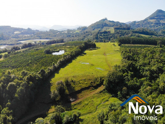 Imagem Imóvel à Venda, em Arroio Bonito - São José Do Hortêncio Imagem Imóvel à Venda, em Arroio Bonito - São José Do Hortêncio