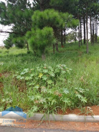 Imagem Terreno à Venda, 750 m² em Recanto Maravilha Iii - Santana De Parnaíba Imagem Terreno à Venda, 750 m² em Recanto Maravilha Iii - Santana De Parnaíba