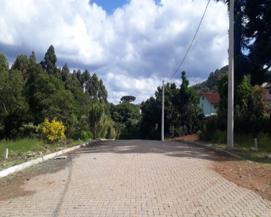 Imagem Imóvel à Venda, 391 m² em Pinhal Alto - Nova Petrópolis
