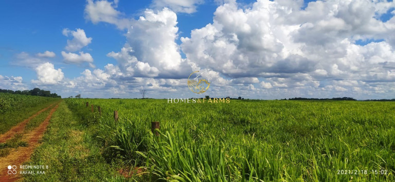 Imagem Imóvel com 3 Quartos à Venda, 423 m² em Zona Rural - Turvelândia Imagem Imóvel com 3 Quartos à Venda, 423 m² em Zona Rural - Turvelândia
