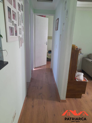 Imagem Apartamento com 2 Quartos à Venda, 45 m² em Vila Santana - Campinas Imagem Apartamento com 2 Quartos à Venda, 45 m² em Vila Santana - Campinas