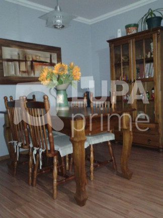 Imagem Apartamento com 3 Quartos à Venda, 78 m² em Vila Ede - São Paulo Imagem Apartamento com 3 Quartos à Venda, 78 m² em Vila Ede - São Paulo