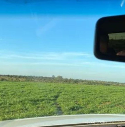 Imagem Fazenda à Venda, 2.032.800 m² em Zona Rural - Guaraci