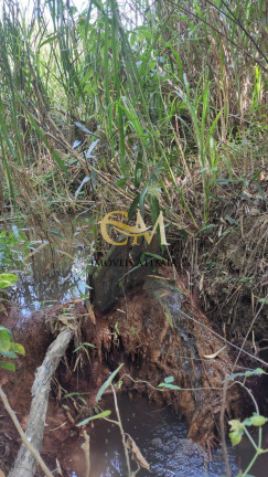 Imagem Terreno em Condomínio à Venda, 4.342 m² em Parque Rio Abaixo - Atibaia