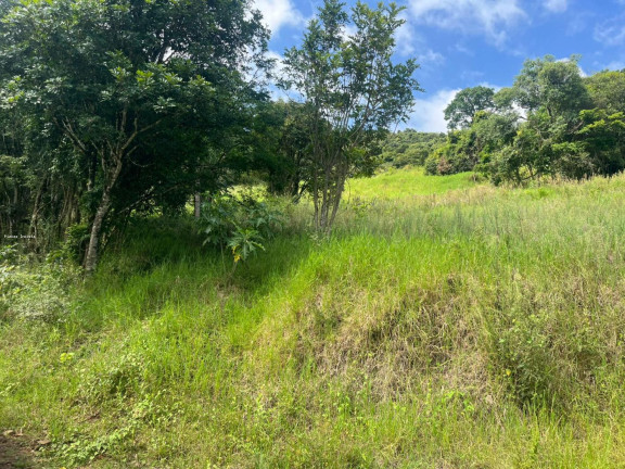 Imagem Terreno à Venda, 56.379 m² em Sc 155 - Itá