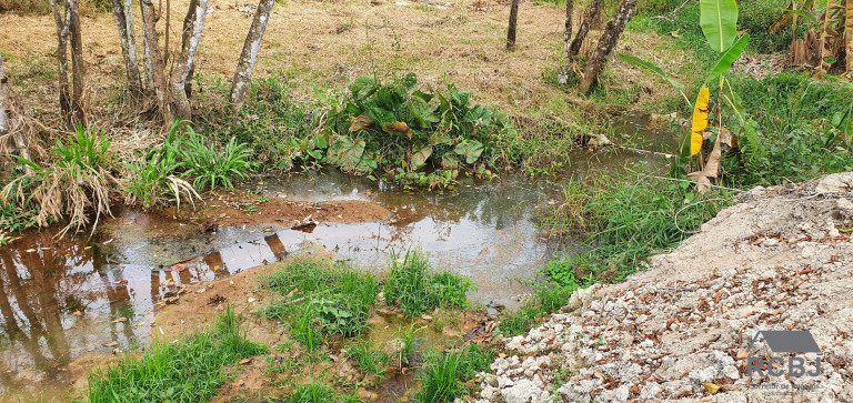 Terreno à Venda, 1.533 m² em Andiroba - Esmeraldas