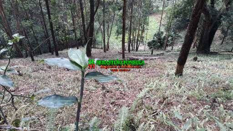 Imagem Chácara à Venda, 40.000 m² em São Francisco Xavier - São José Dos Campos Imagem Chácara à Venda, 40.000 m² em São Francisco Xavier - São José Dos Campos