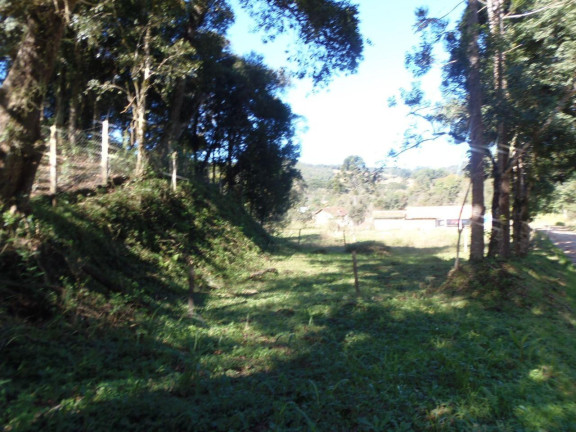 Imagem Terreno à Venda, 515 m² em Bateias - Campo Largo Imagem Terreno à Venda, 515 m² em Bateias - Campo Largo