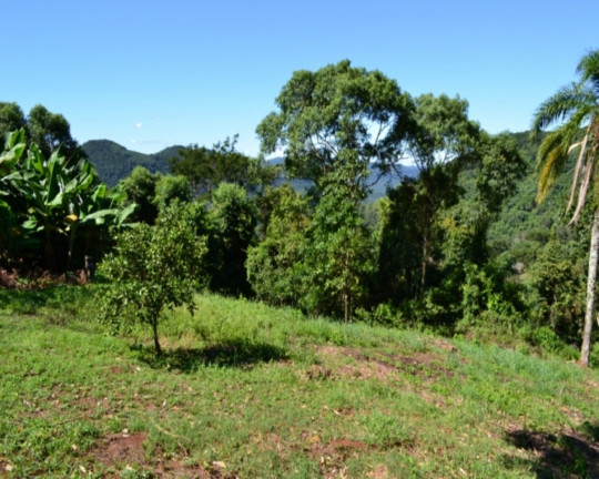 Imagem Imóvel à Venda,  em Serra Verde - Picada Café