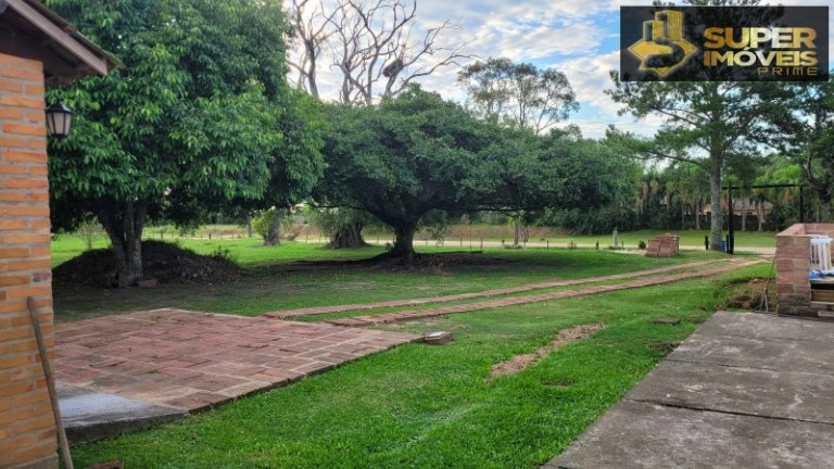 Imagem Imóvel com 3 Quartos à Venda, 20.000 m² em Fragata - Pelotas Imagem Imóvel com 3 Quartos à Venda, 20.000 m² em Fragata - Pelotas