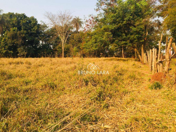 Imagem Imóvel à Venda, 12.000 m² em Cidade Nova - Igarapé Imagem Imóvel à Venda, 12.000 m² em Cidade Nova - Igarapé