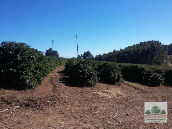 Imagem Fazenda à Venda, 2.000 m² em Centro - Campanha Imagem Fazenda à Venda, 2.000 m² em Centro - Campanha